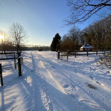 Vakantiewoning Heidebos In Het Nationaal Park Hoge Kempen Opglabbeek Kültér fotó
