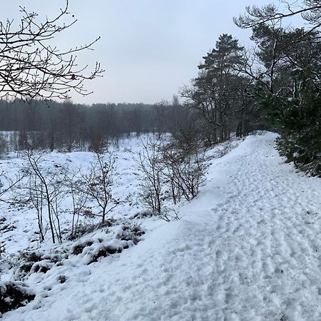 Vakantiewoning Heidebos In Het Nationaal Park Hoge Kempen Opglabbeek Kültér fotó