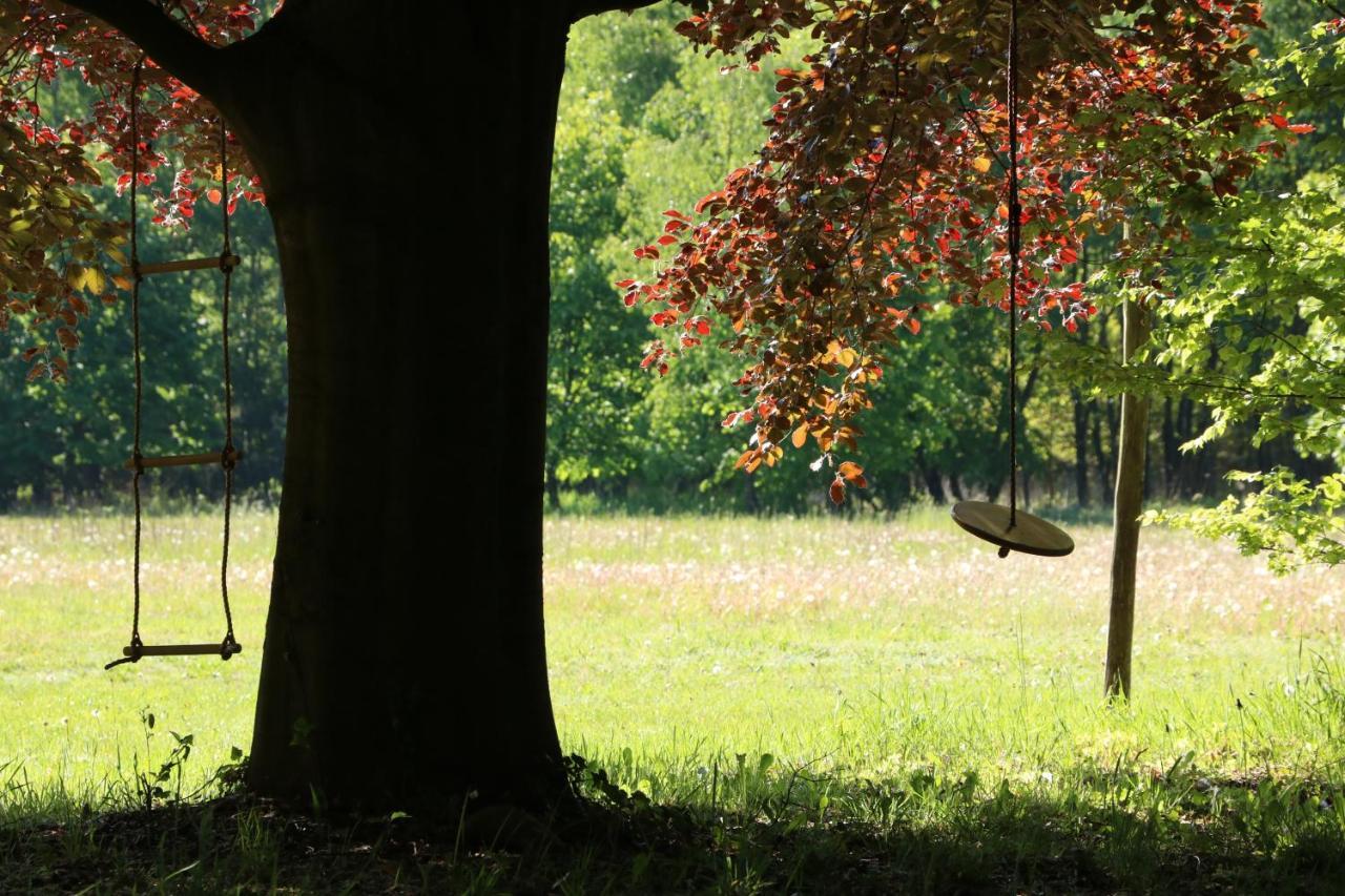 Vakantiewoning Heidebos In Het Nationaal Park Hoge Kempen Opglabbeek Kültér fotó