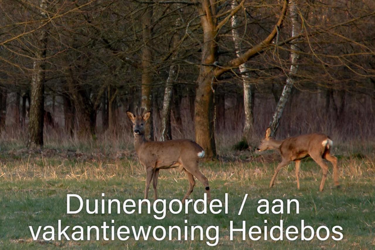 Vakantiewoning Heidebos In Het Nationaal Park Hoge Kempen Opglabbeek Kültér fotó