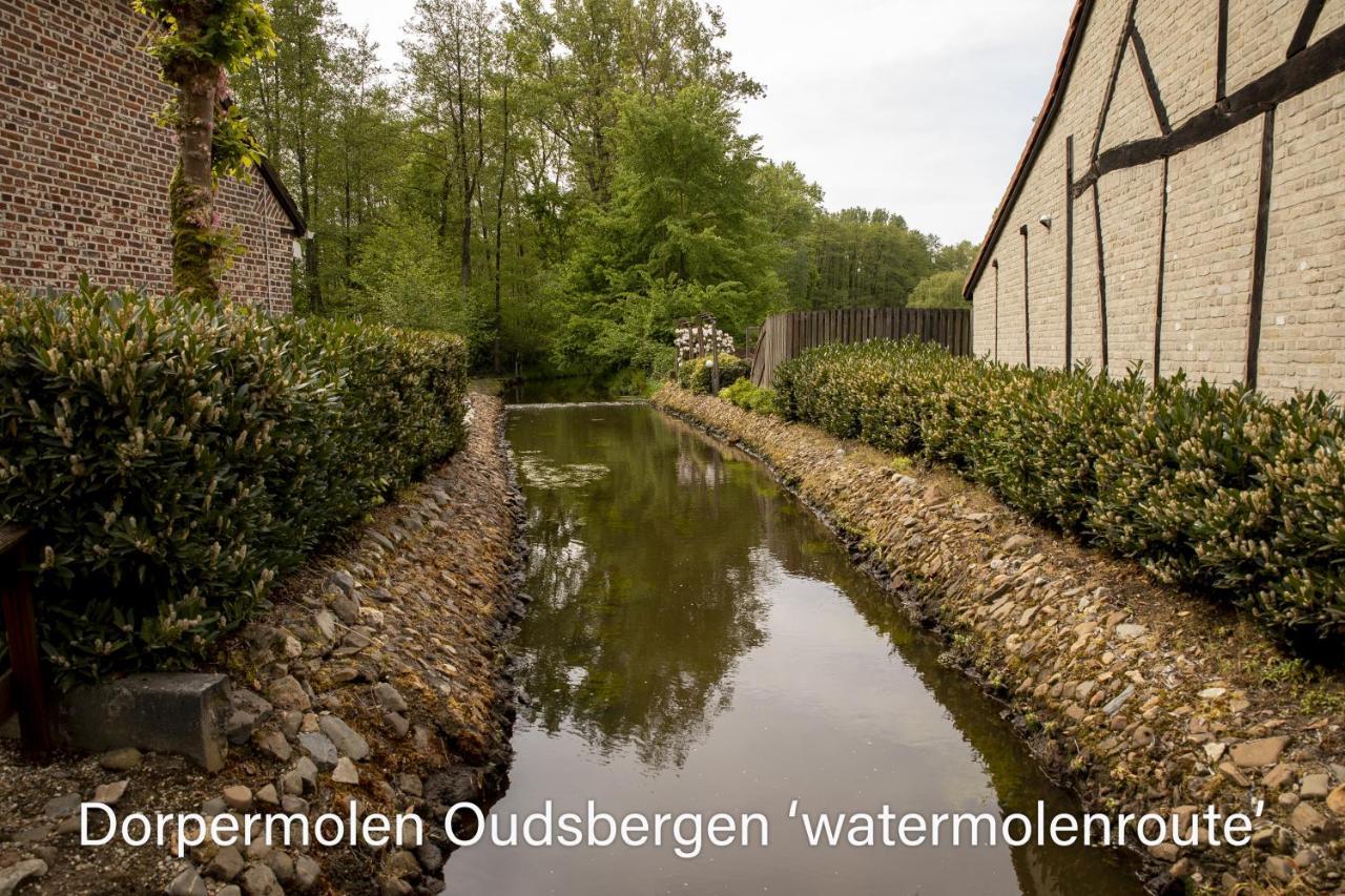 Vakantiewoning Heidebos In Het Nationaal Park Hoge Kempen Opglabbeek Kültér fotó
