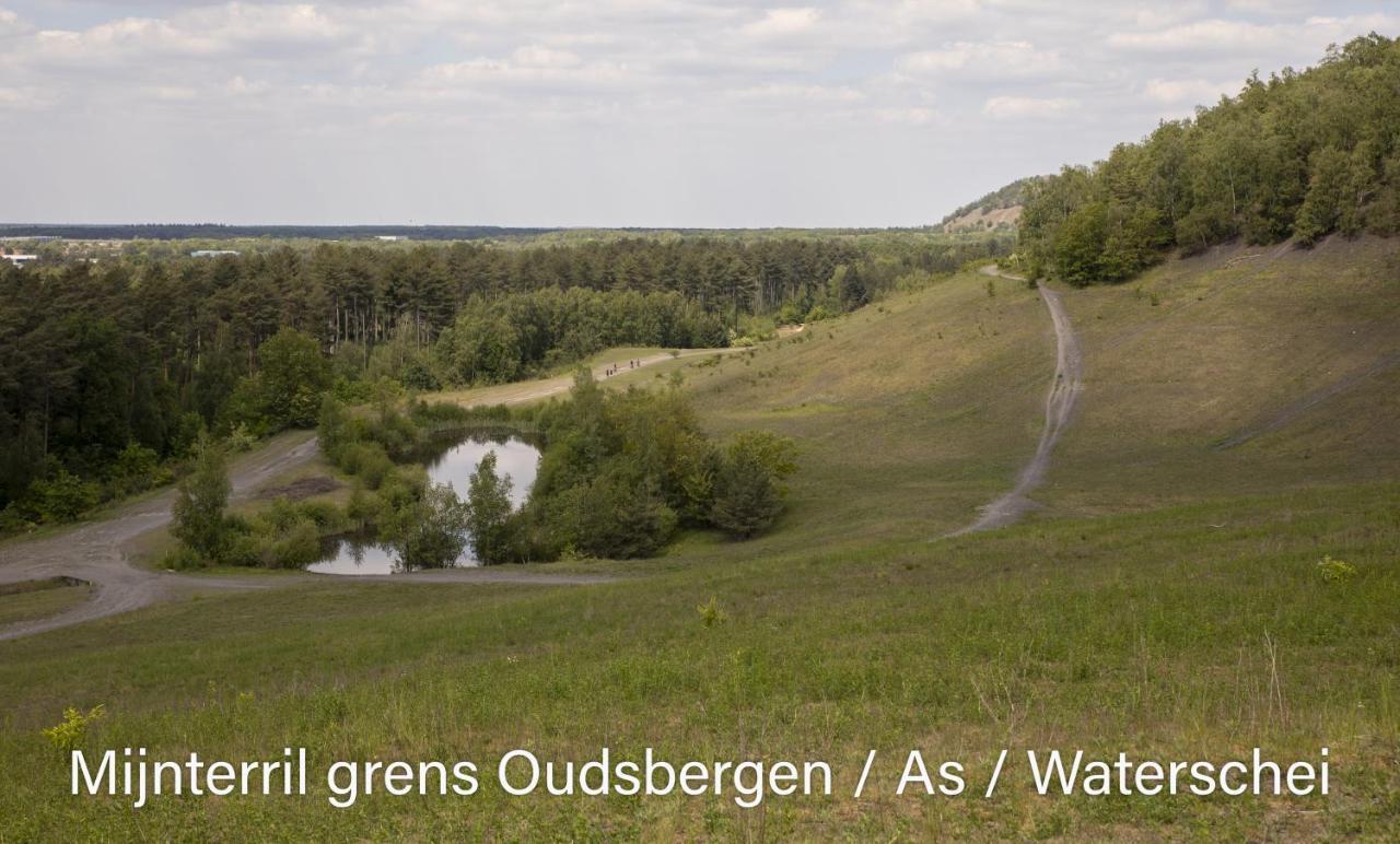 Vakantiewoning Heidebos In Het Nationaal Park Hoge Kempen Opglabbeek Kültér fotó