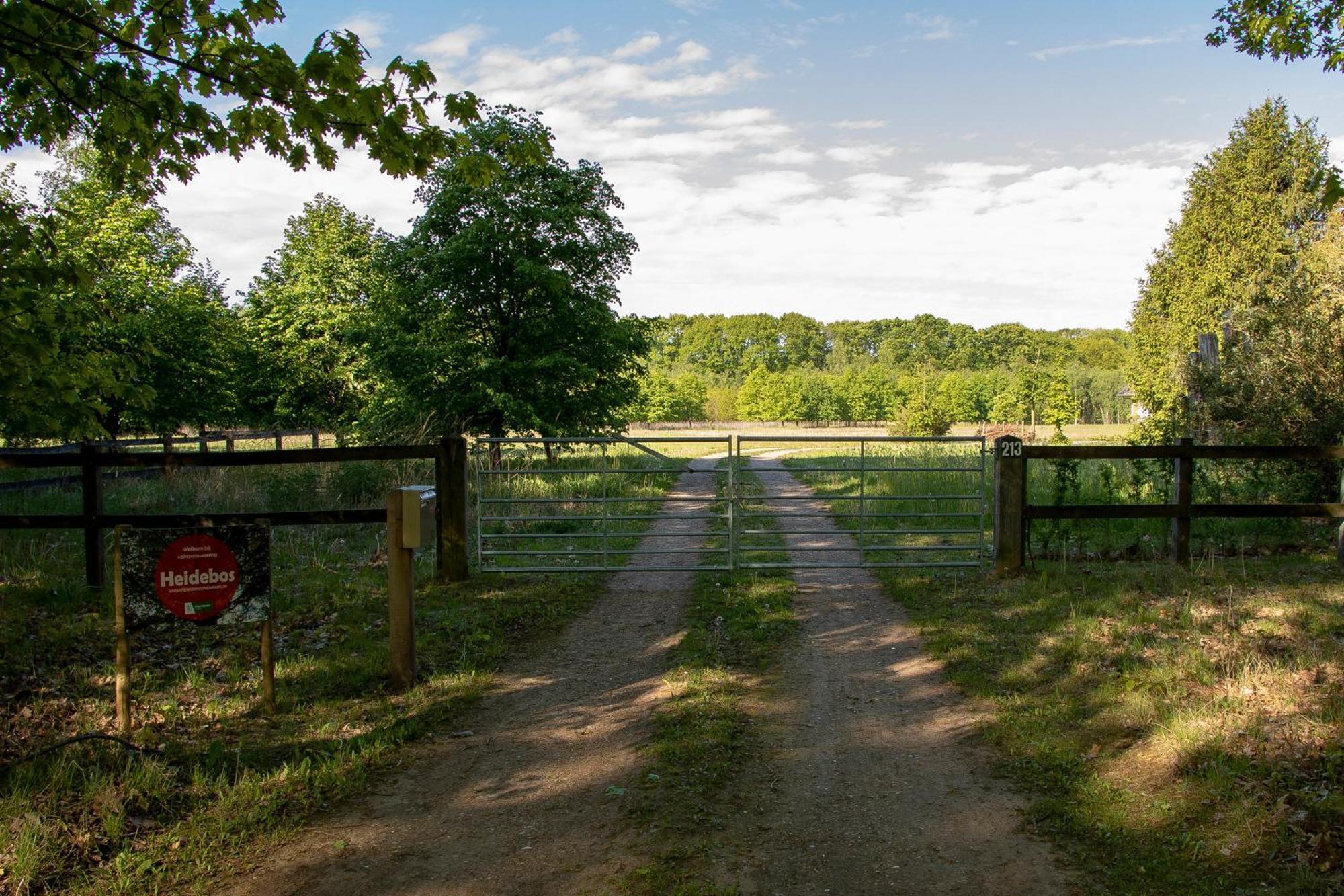 Vakantiewoning Heidebos In Het Nationaal Park Hoge Kempen Opglabbeek Kültér fotó