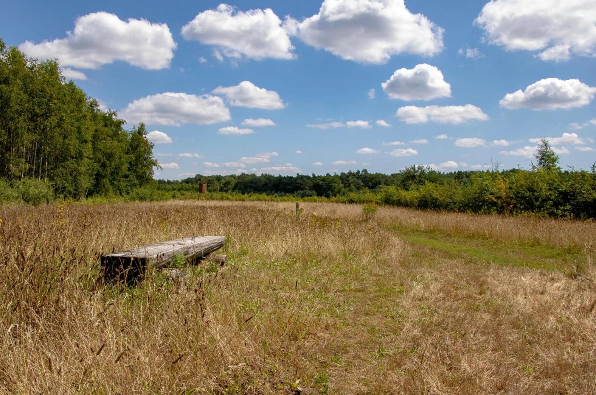 Vakantiewoning Heidebos In Het Nationaal Park Hoge Kempen Opglabbeek Kültér fotó