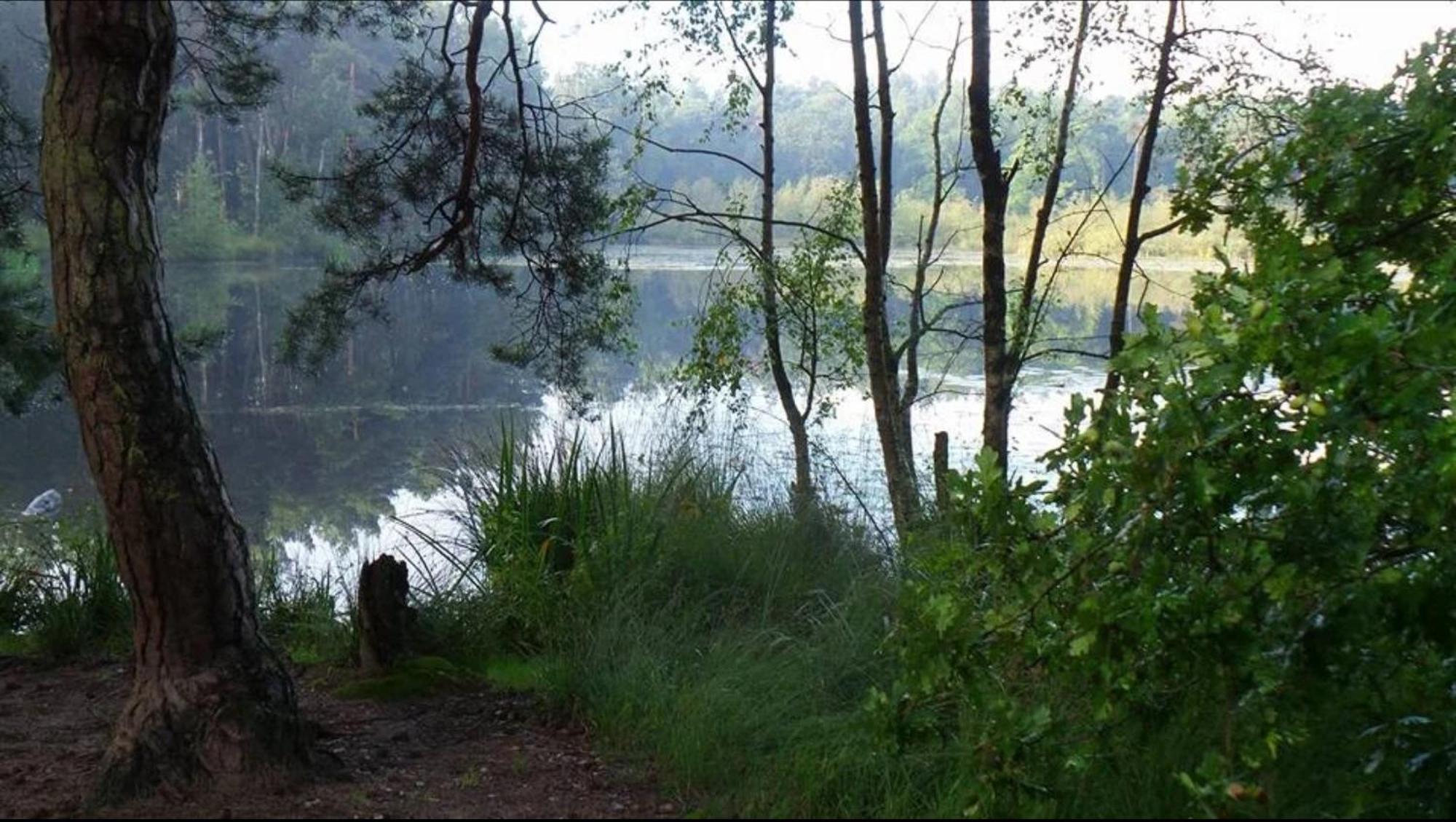 Vakantiewoning Heidebos In Het Nationaal Park Hoge Kempen Opglabbeek Kültér fotó