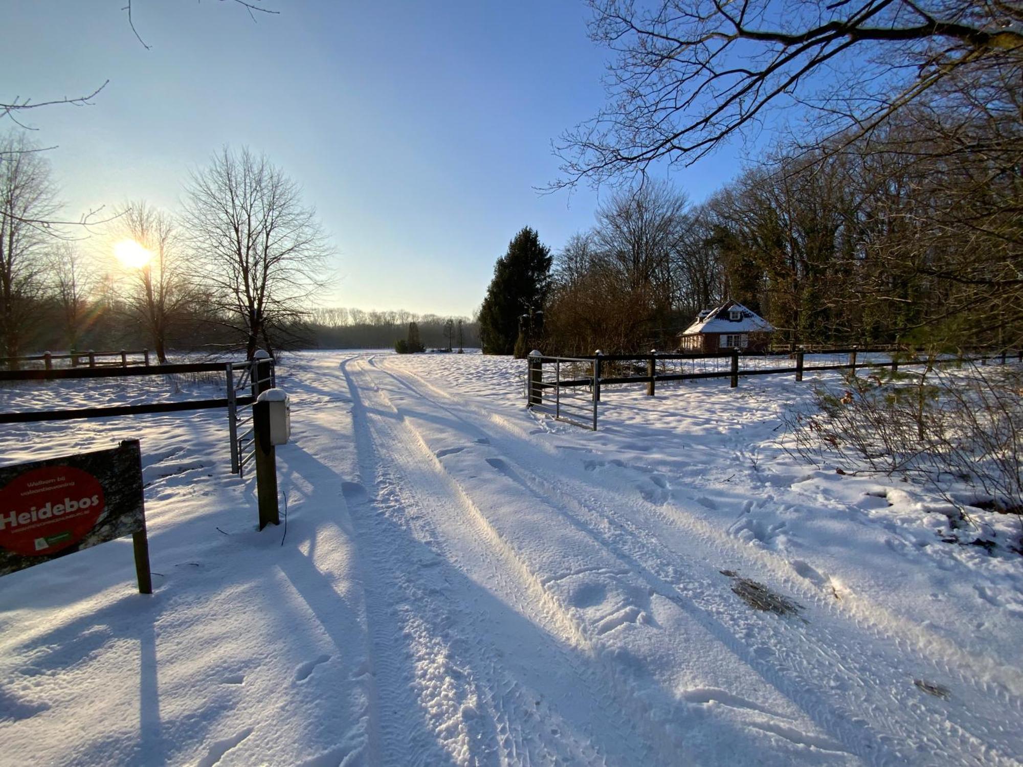 Vakantiewoning Heidebos In Het Nationaal Park Hoge Kempen Opglabbeek Kültér fotó