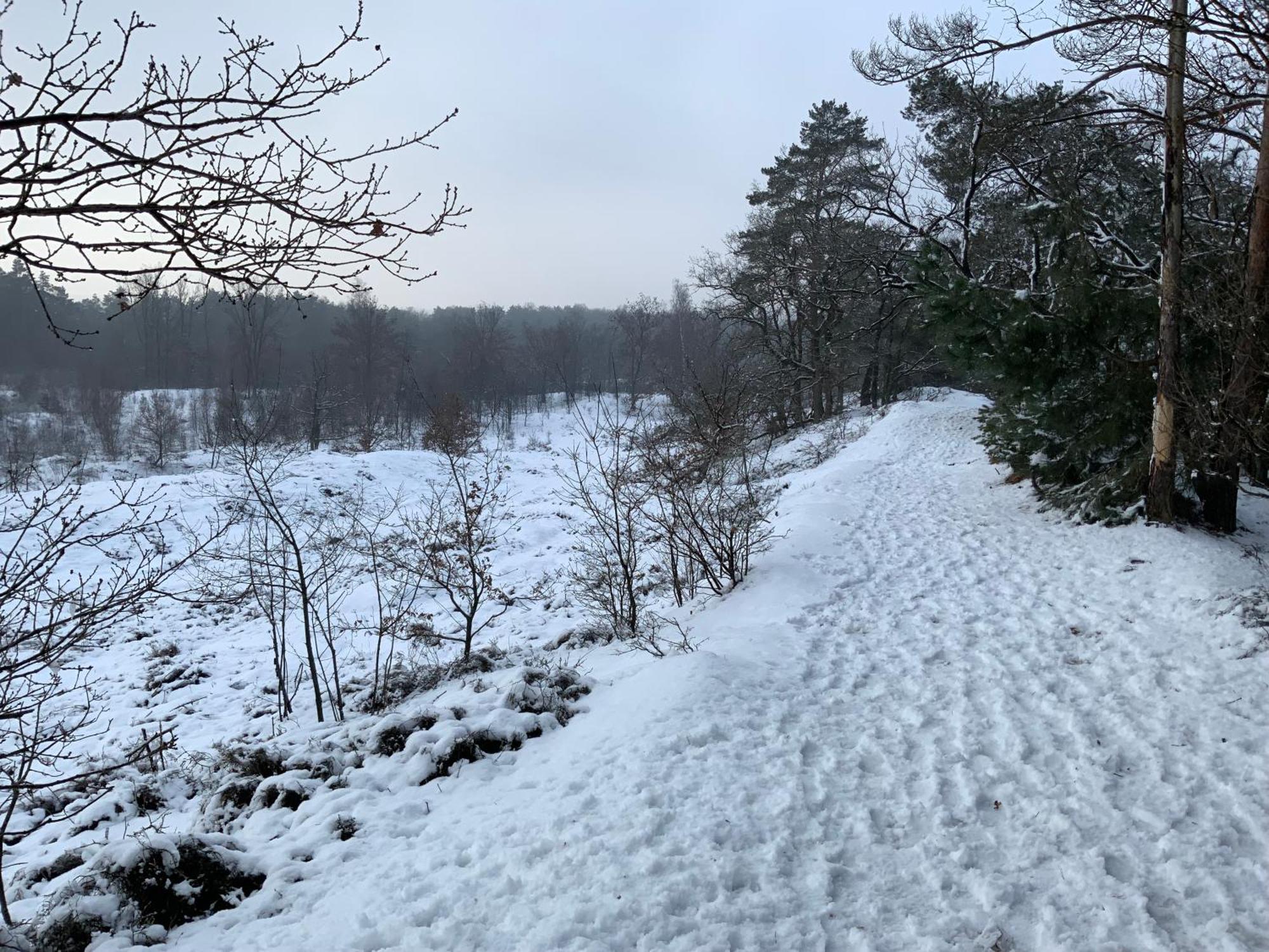 Vakantiewoning Heidebos In Het Nationaal Park Hoge Kempen Opglabbeek Kültér fotó